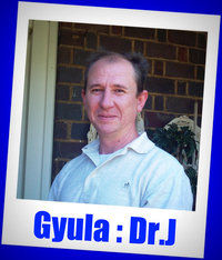 Gyula Kulcsar