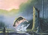 Michael Pyles