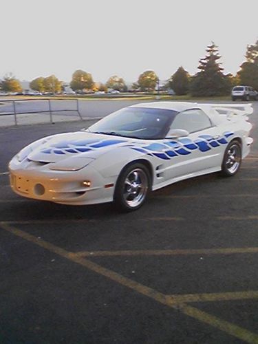 Shawn Tuttle