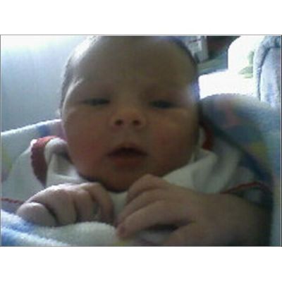 Athena Warrick