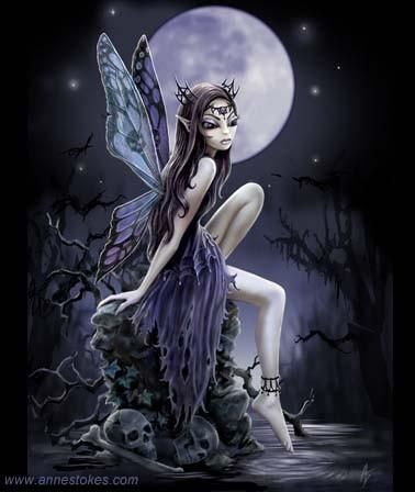 Connie Schien