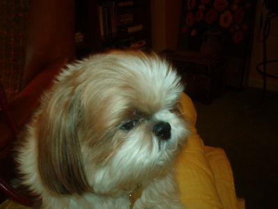 Etta Friend