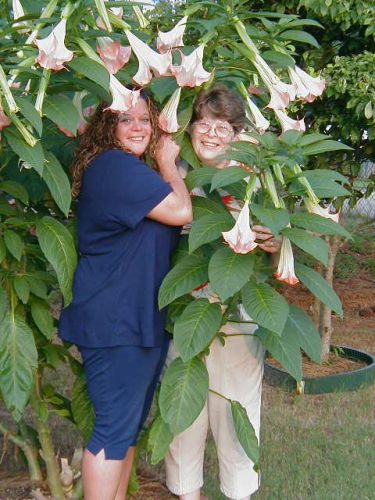Diana Shively
