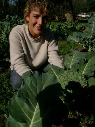 Gail Guerrieri