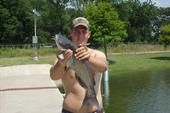 Luke Burleson