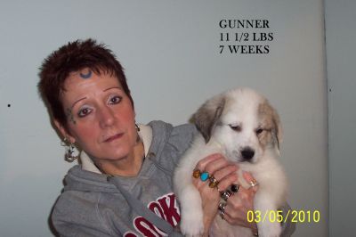 Tammy Gray