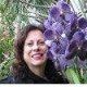 Joy Parmet