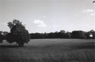 Steven Cornfield