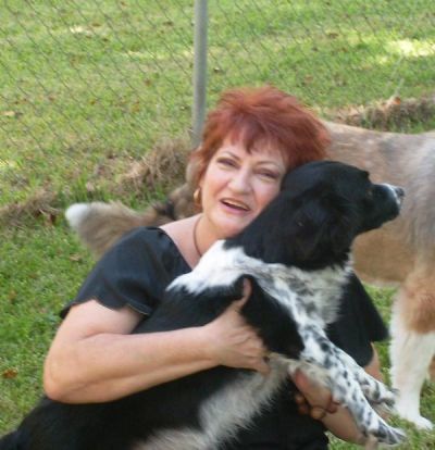 Denise Sipple