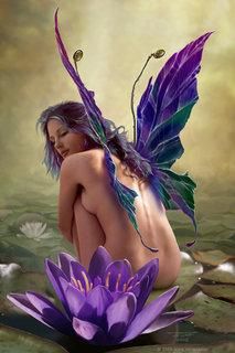 Judy Heer