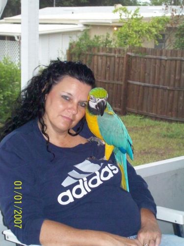 Donna Truett