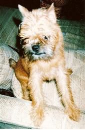 Cliff Guerrero