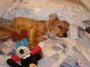 Thomas Bearce