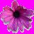 Thi Luong