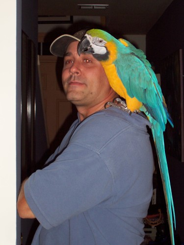 Anthony Rispulo