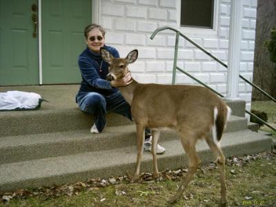 Joyce Murray
