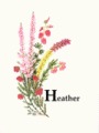 Heather Foor