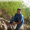 Satish Seshadri