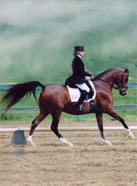 Carol Fricke