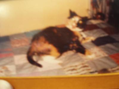 Nancy Weichel