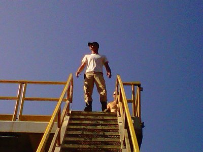 Randy Taylor