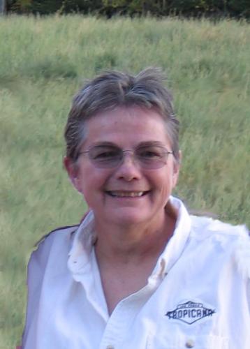 Diana Law
