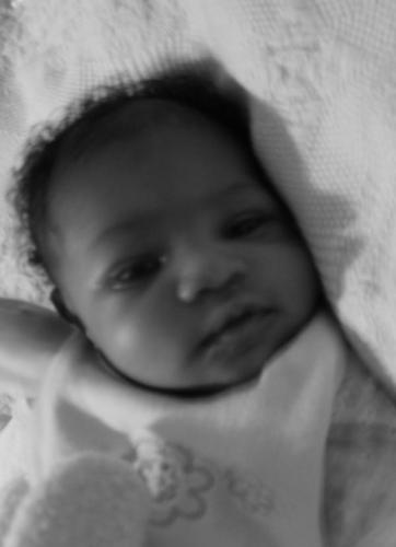 Libra Harrison