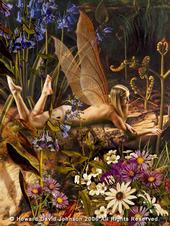 Elizabeth Spais