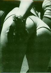 Shelley Erich