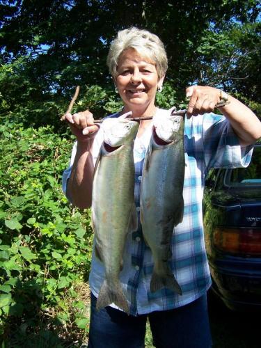 Catherine Sorci