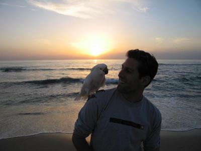 Andrew Behrendt