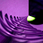 Jeffry Grim