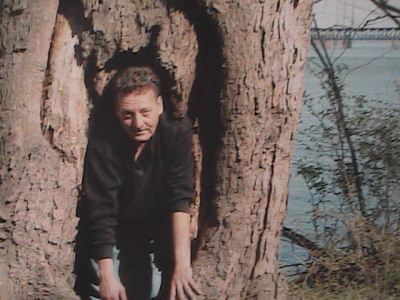 Louis Wheeler