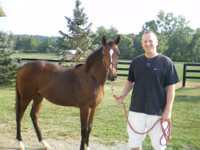 Bill Auslander