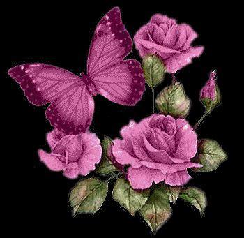 Robin Gentile