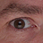 Daniel Guidara