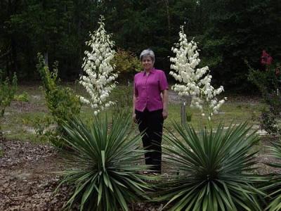 Sharon Taylor