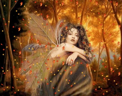 Donna Miner