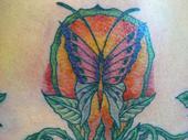 Kimi Buddin