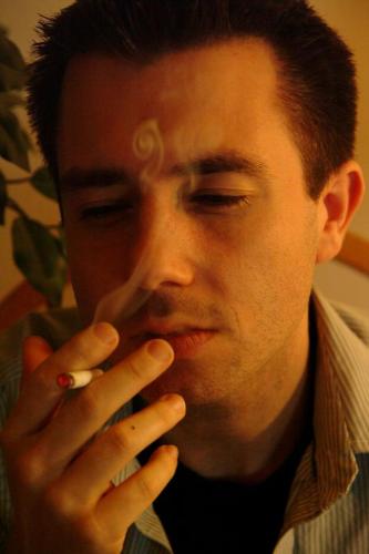 David Stein