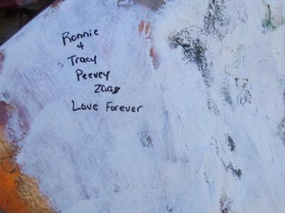 Tracy Peevey