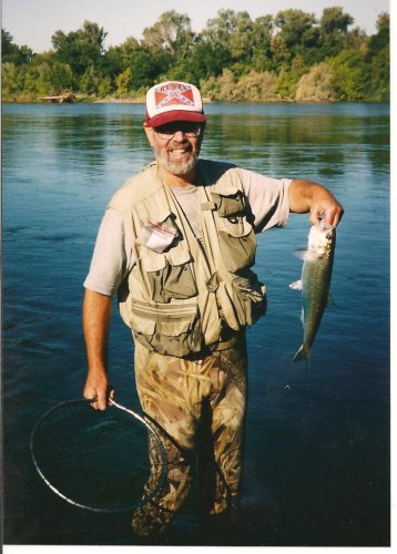 Robert Stout