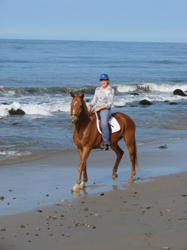 Deborah Doneen