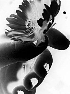 Susan Baxley