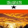 Mohamed Omar