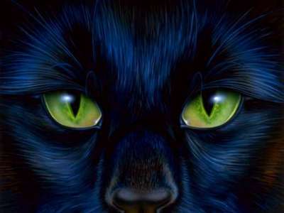 Debra Tooley