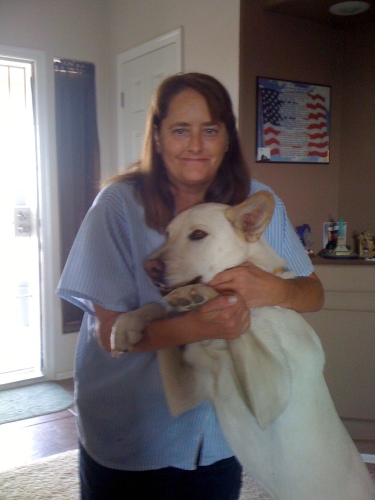 Lorie Gibson