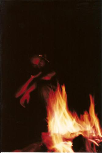 Susan Bauer