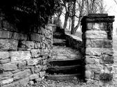 Timothy Hall