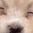 Mary Cobble